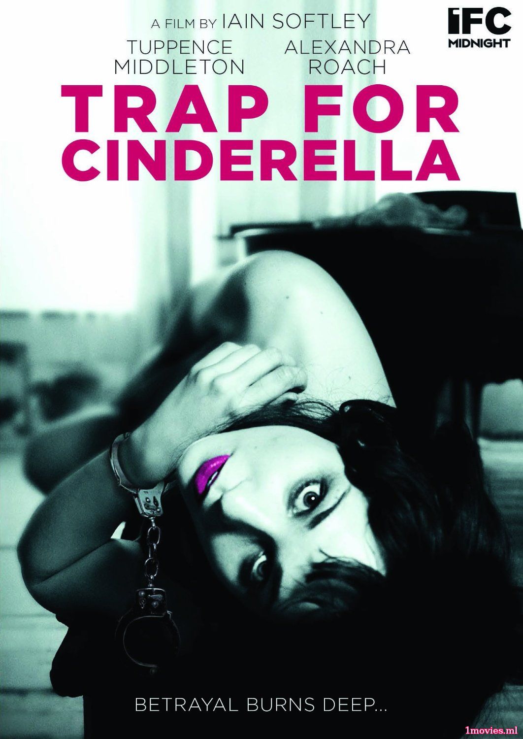 Ловушка для Золушки (2013)