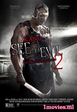 Не вижу зла 2 (2014)