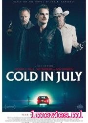 Холод в июле (2014)
